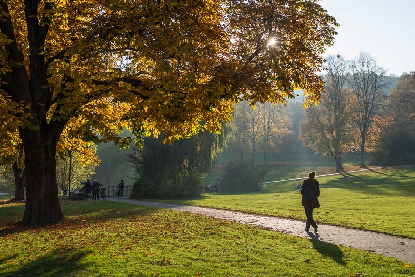Bürgerpark Bielefeld, Herbst, Herbststimmung, Abendsonne